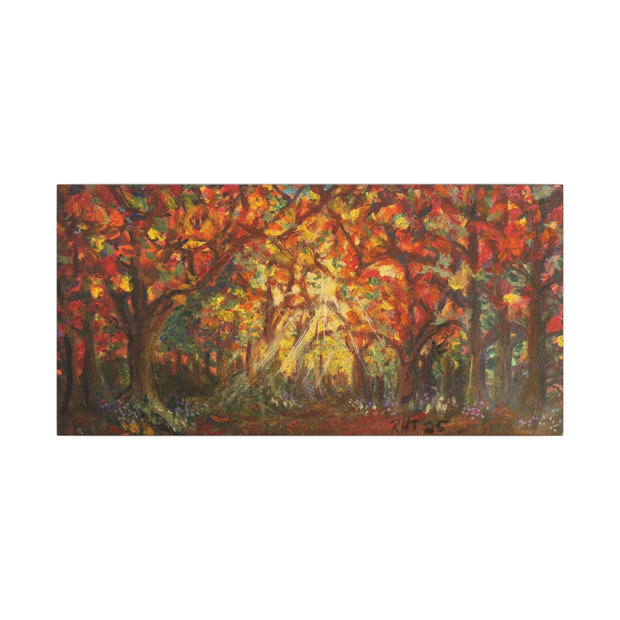 Autumn Grove Light Matte Canvas Wall Art Print of Original — Stretched Fall Landscape