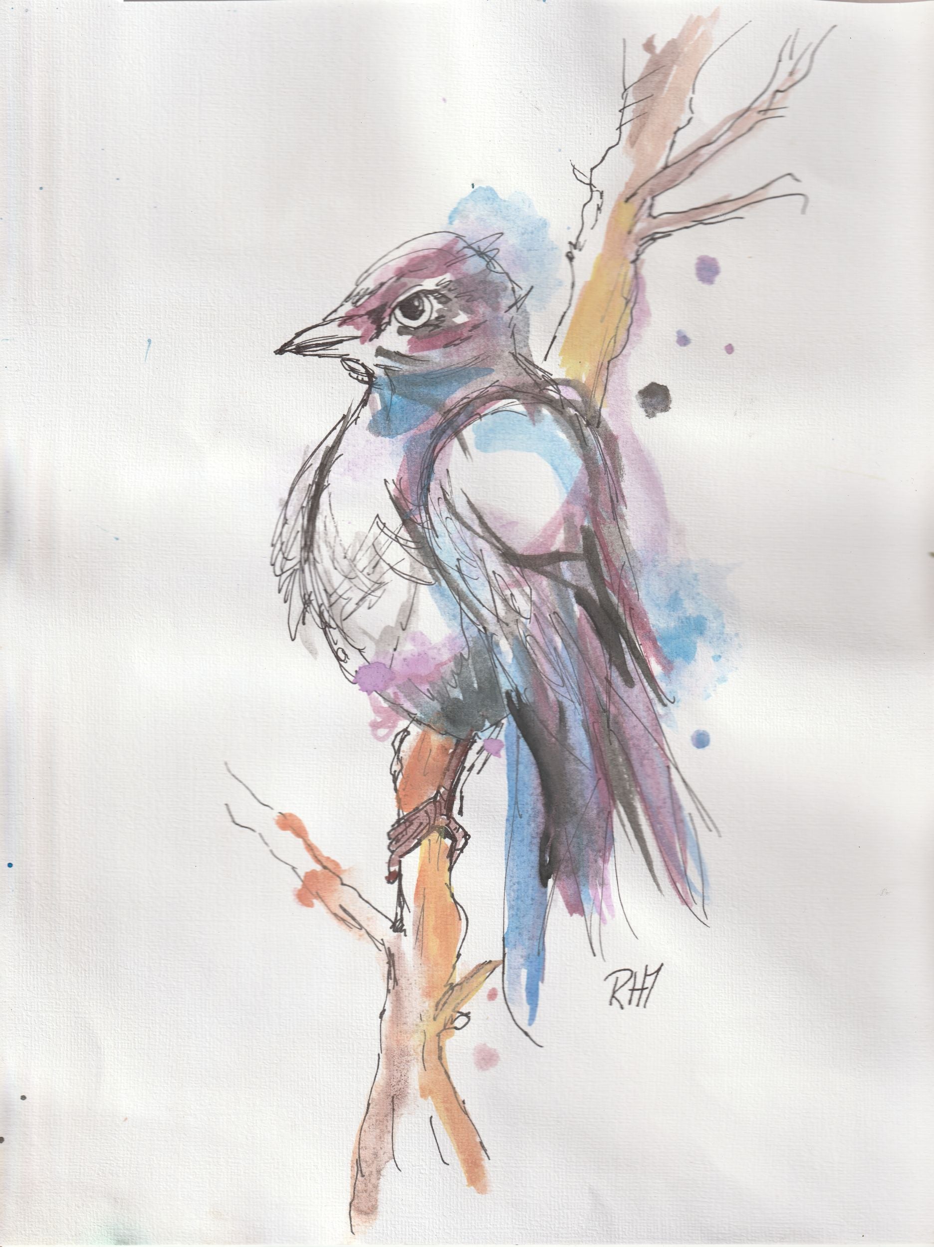 Swallow Standing – Original Watercolor and Ink Painting (8.5" x 11")